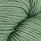 *New* Sage Before Beauty