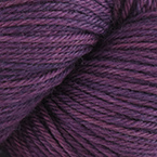 *New* Nightshade