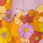 Elephant Blossom