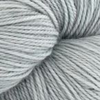 Grey Tabby