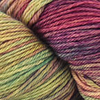 Arco Iris (Mixed Lot)