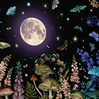 Night Garden