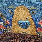 Bear Eyes: Harvest