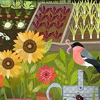 Garden Allotment