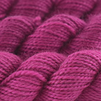 Ladies and Magentlemen